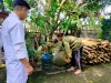 CHỦ ĐỘNG PHÒNG CHỐNG SỐT XUẤT HUYẾT