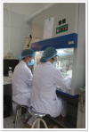TĂNG CƯỜNG ĐẢM BẢO CHẤT LƯỢNG XÉT NGHIỆM SARS-CoV-2